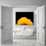TEDDY SUNFLOWER II