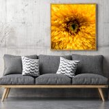 TEDDY SUNFLOWER V