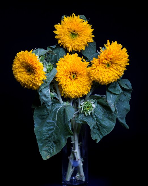 creocollective-shop-floral-12
