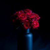 ROSE II