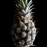 PINEAPPLE II