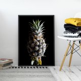 PINEAPPLE II