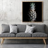 PINEAPPLE III