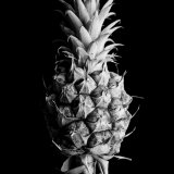 PINEAPPLE I