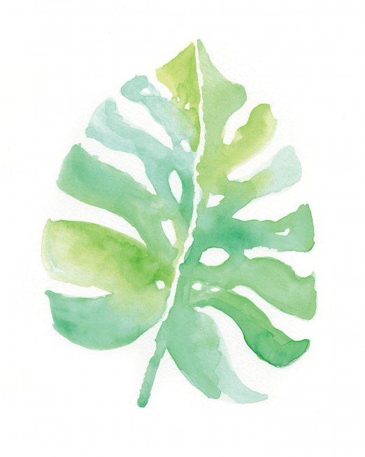 creocollective-shop-watercolour-15