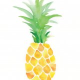 PINEAPPLE IV