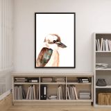 KOOKABURRA I